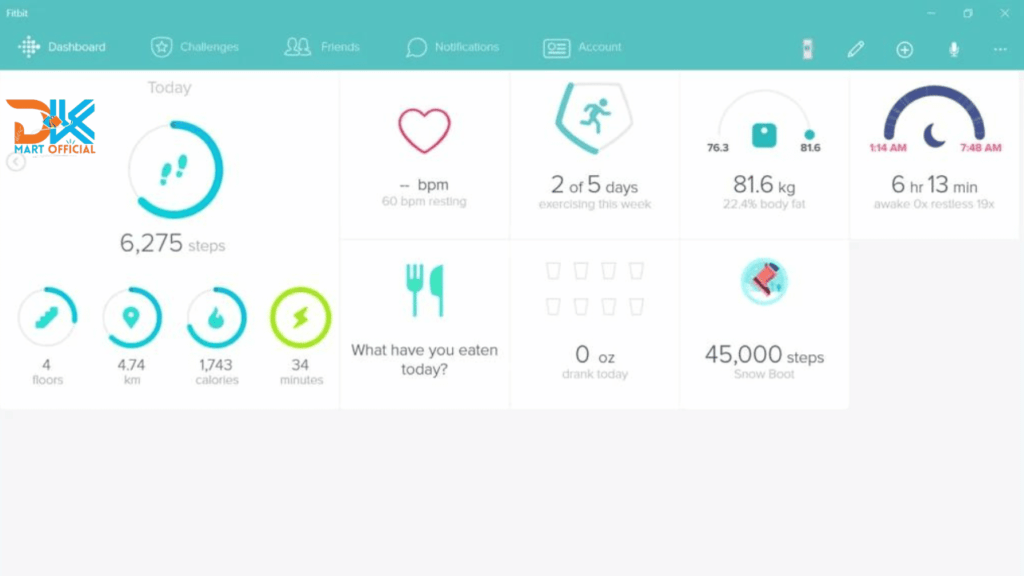 Fitbit Zip vs One